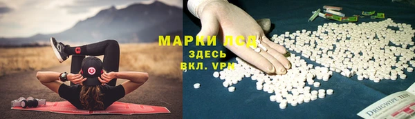 спиды Арсеньев