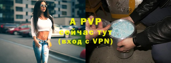 Альфа ПВП Аркадак