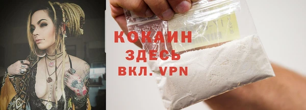 Альфа ПВП Аркадак