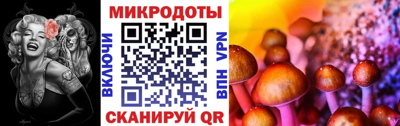 купить наркотики сайты Малоярославец Псилоцибиновые грибы Psilocybe